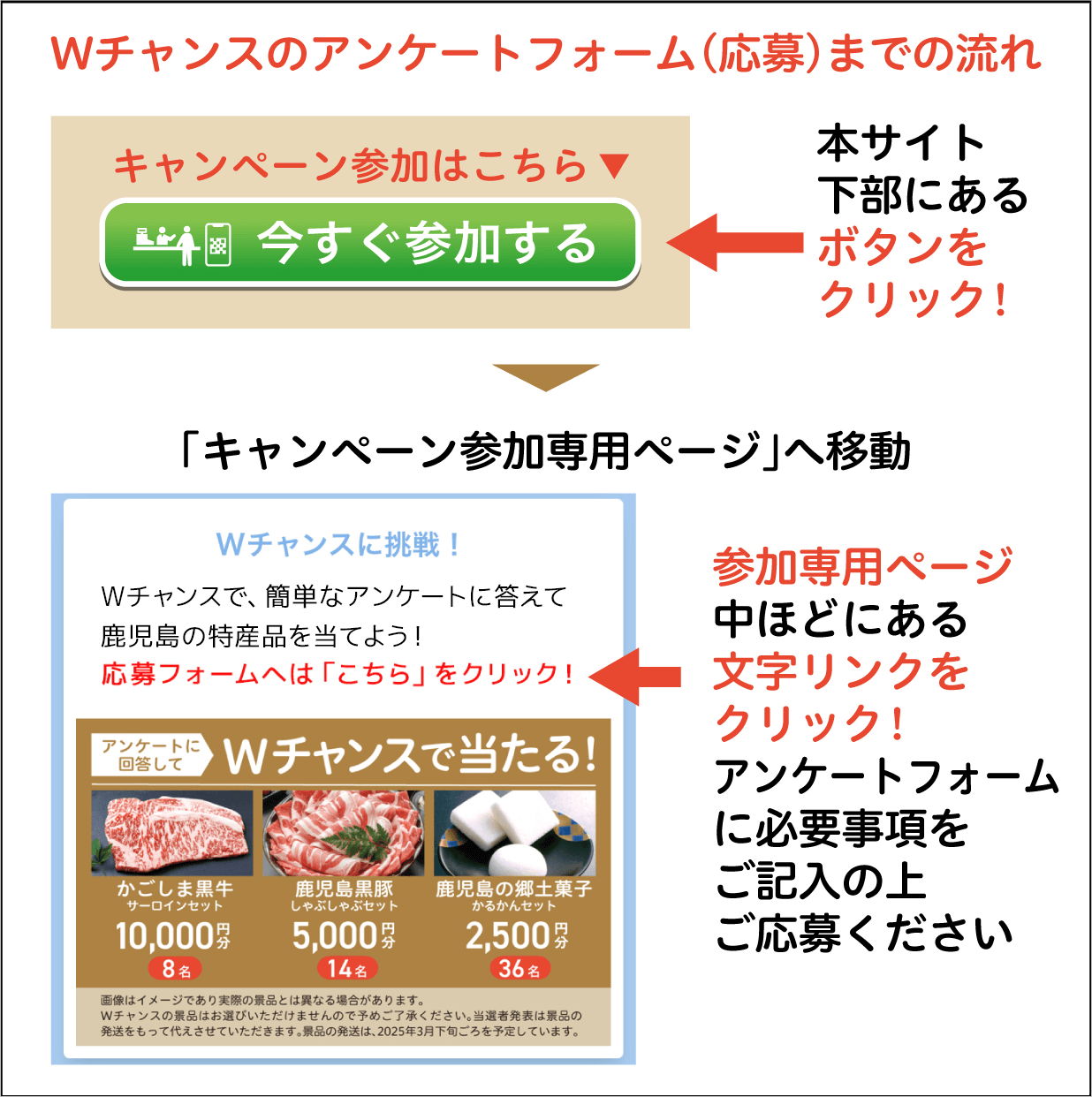 Wチャンスのアンケートフォーム（応募）までの流れ：本サイト下部にある「今すぐ参加する」ボタンをクリック！「キャンペーン参加専用サイト」へ移動、専用サイト中ほどにある文字リンクをクリック！アンケートフォームに必要事項をご記入の上ご応募ください